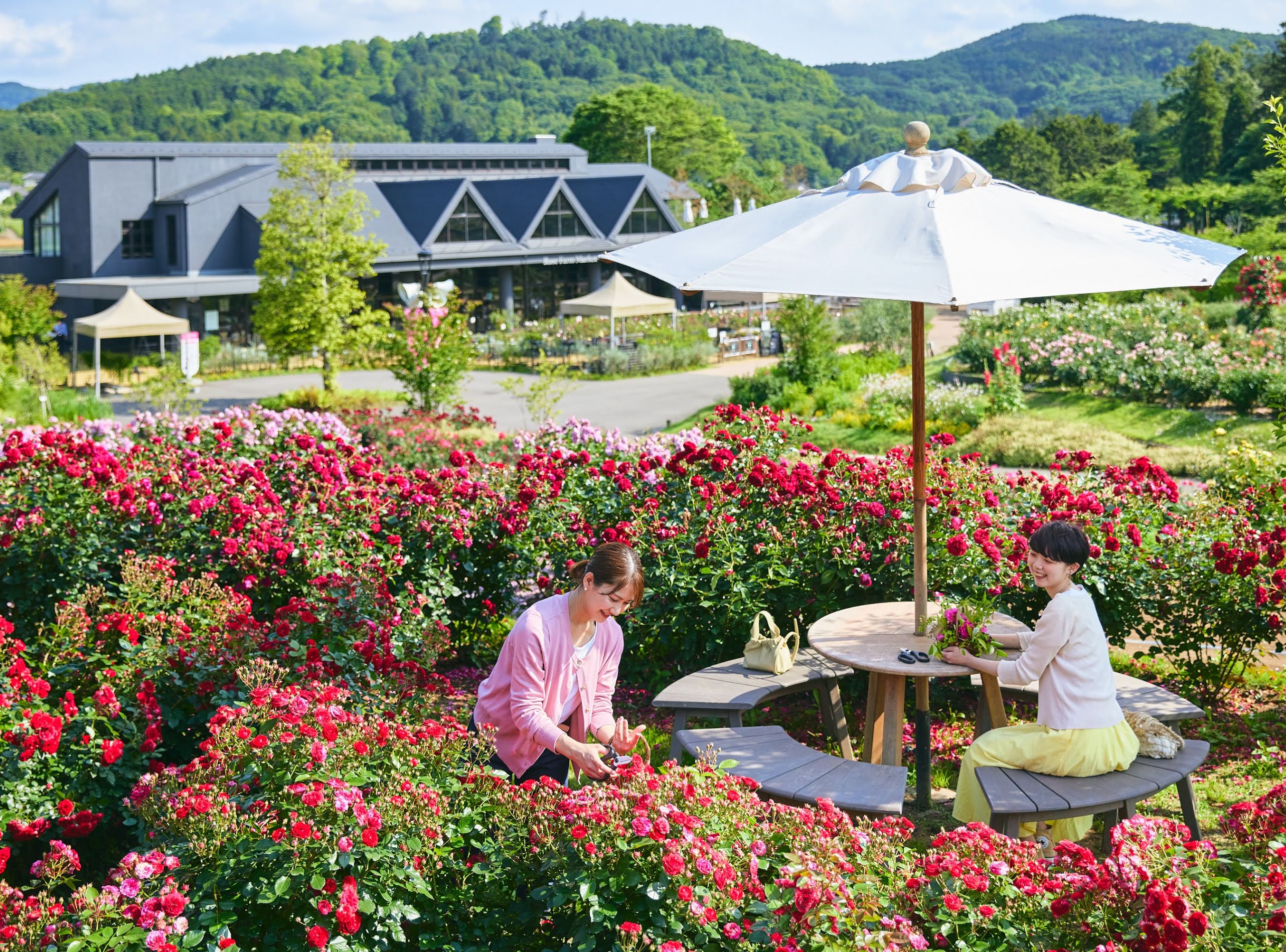 du khach trai nghiem cac hoat dong tai cong vien hoa ibaraki1