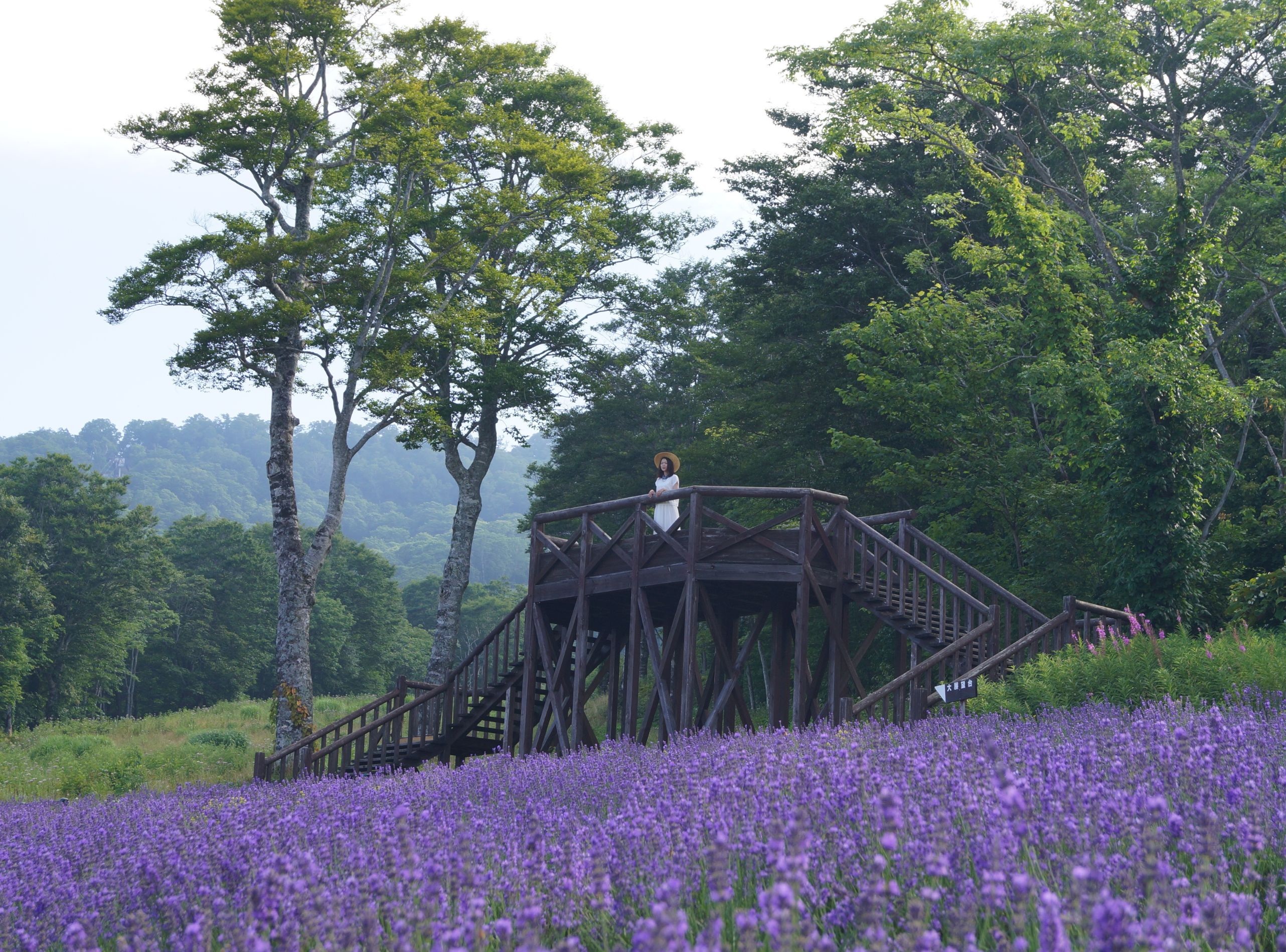 khach tham quan ngam nhin khuon vien tu tren cao