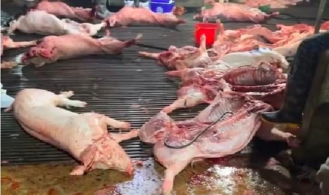 c5966fbc a6ed 44aa a59d 2b81450d1f06png c5966fbc a6ed 44aa a59d 2b81450d1f06png