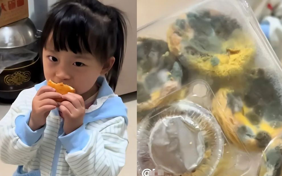 edit untitled design 7 17771262866231867021456