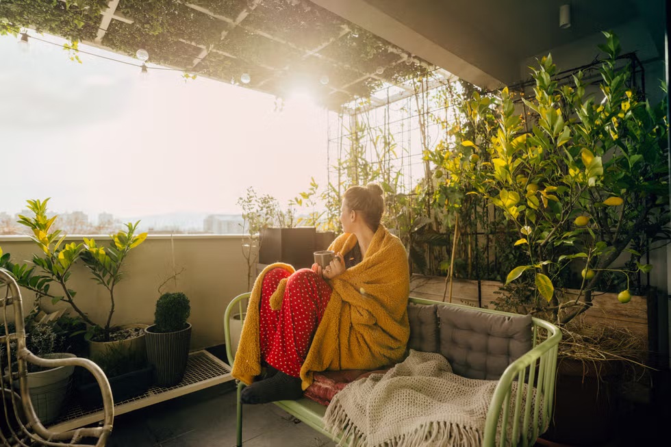 1cf29289 0b5e 401e b581 c4b61c4e844f