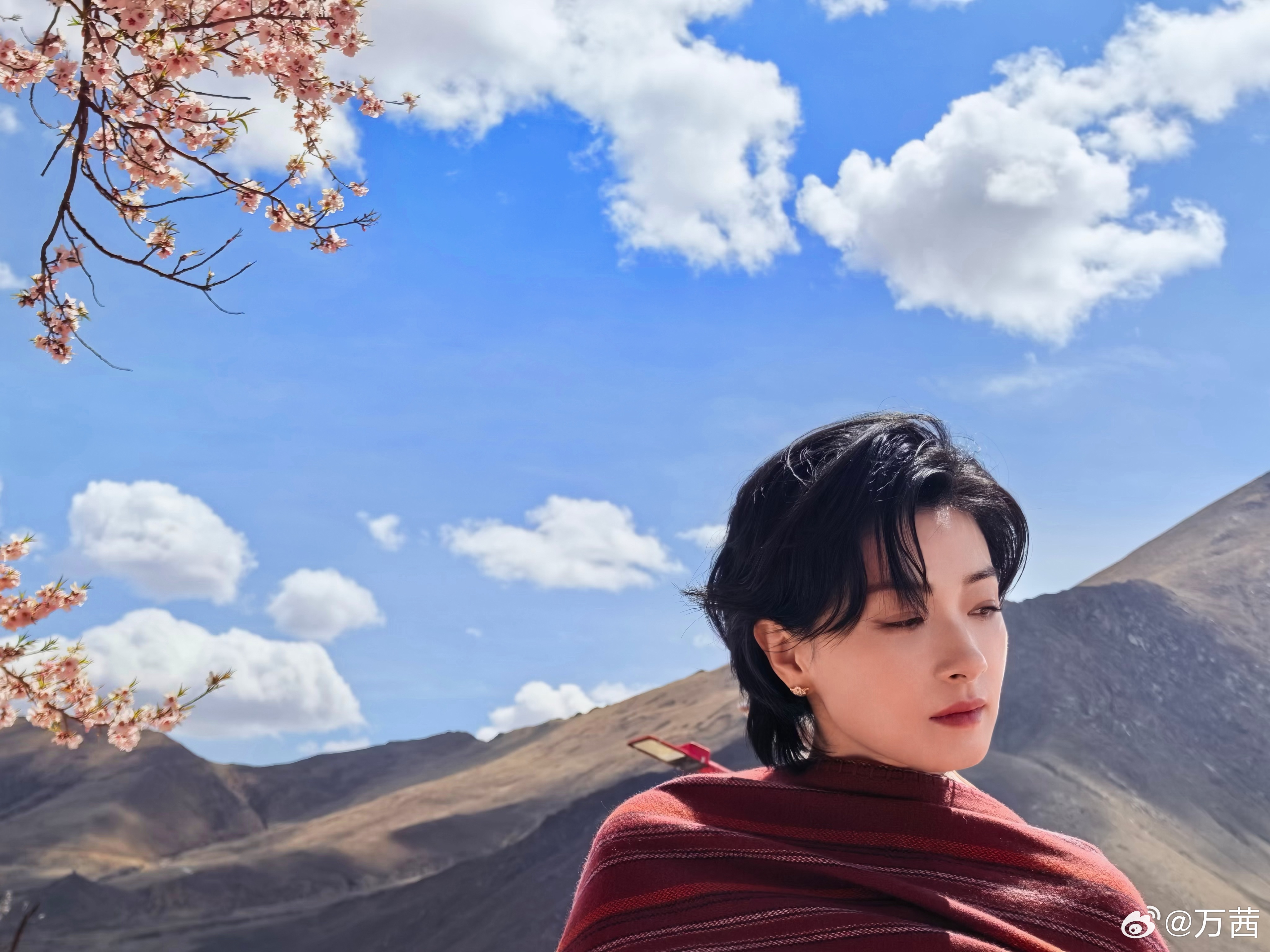 4c95a74fgy1ic3skvqvajj235s2dcx6p