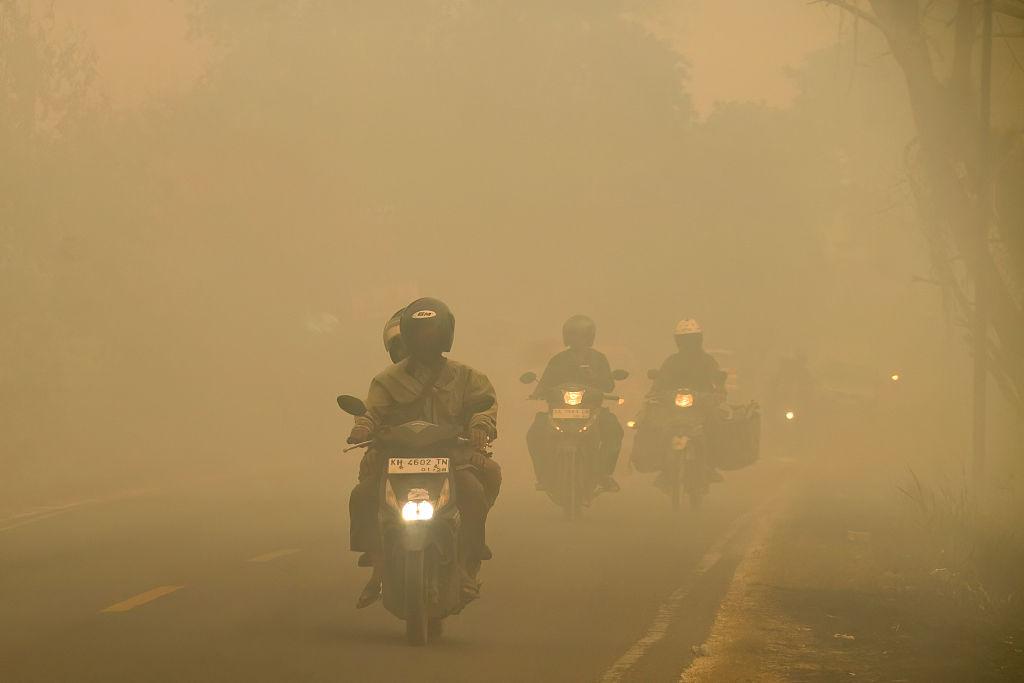indo 3