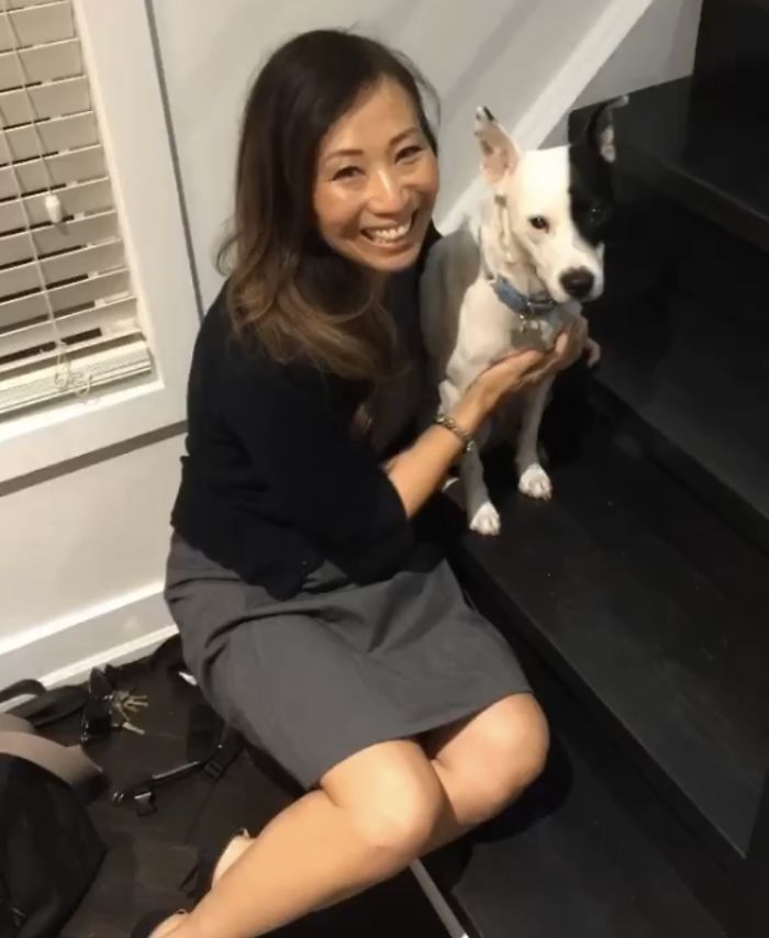 dog 4