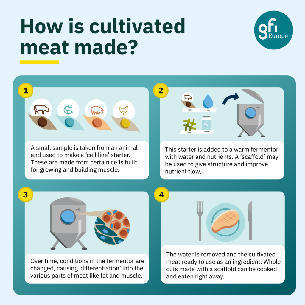 encultivated meat process