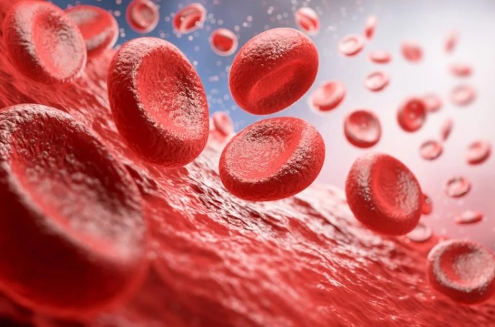 screenshot from 2026 10 28 13 34 47