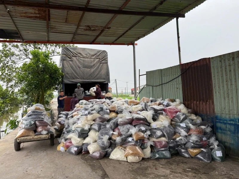 6136420273914758706 1