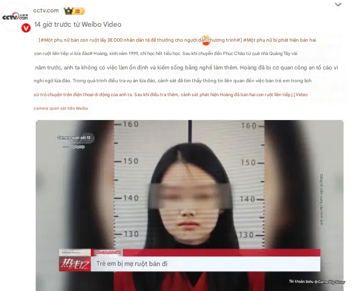 translatedimagevi 11