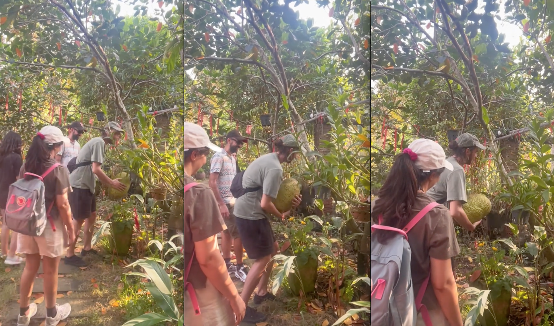 screen shot 2025 01 01 at 212730