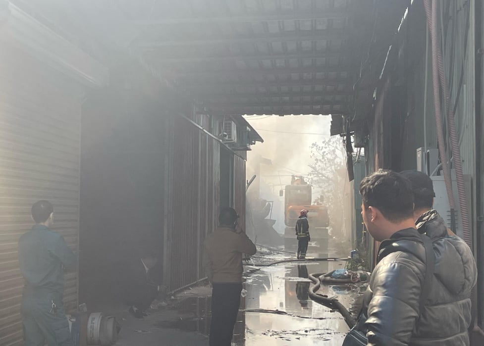 f0d62918 de3e 48de a417 e07626af7a55