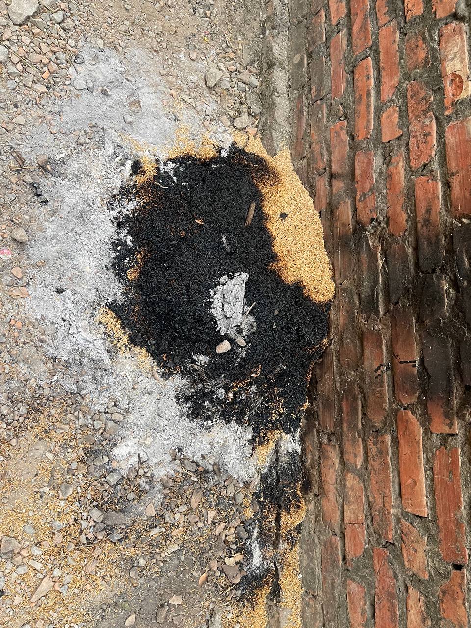 photo2025 01 1807 50 43