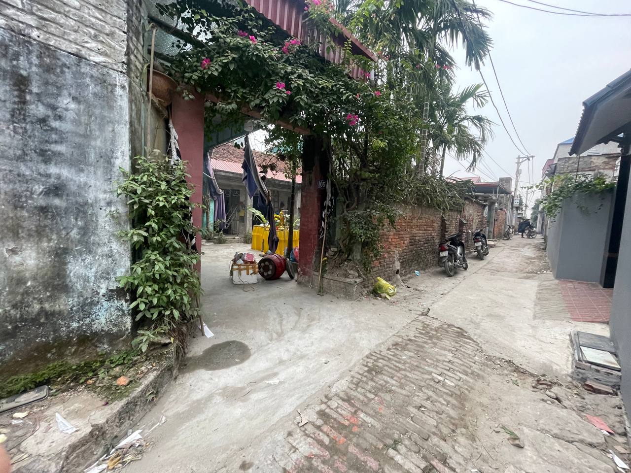 photo2025 01 1807 50 47