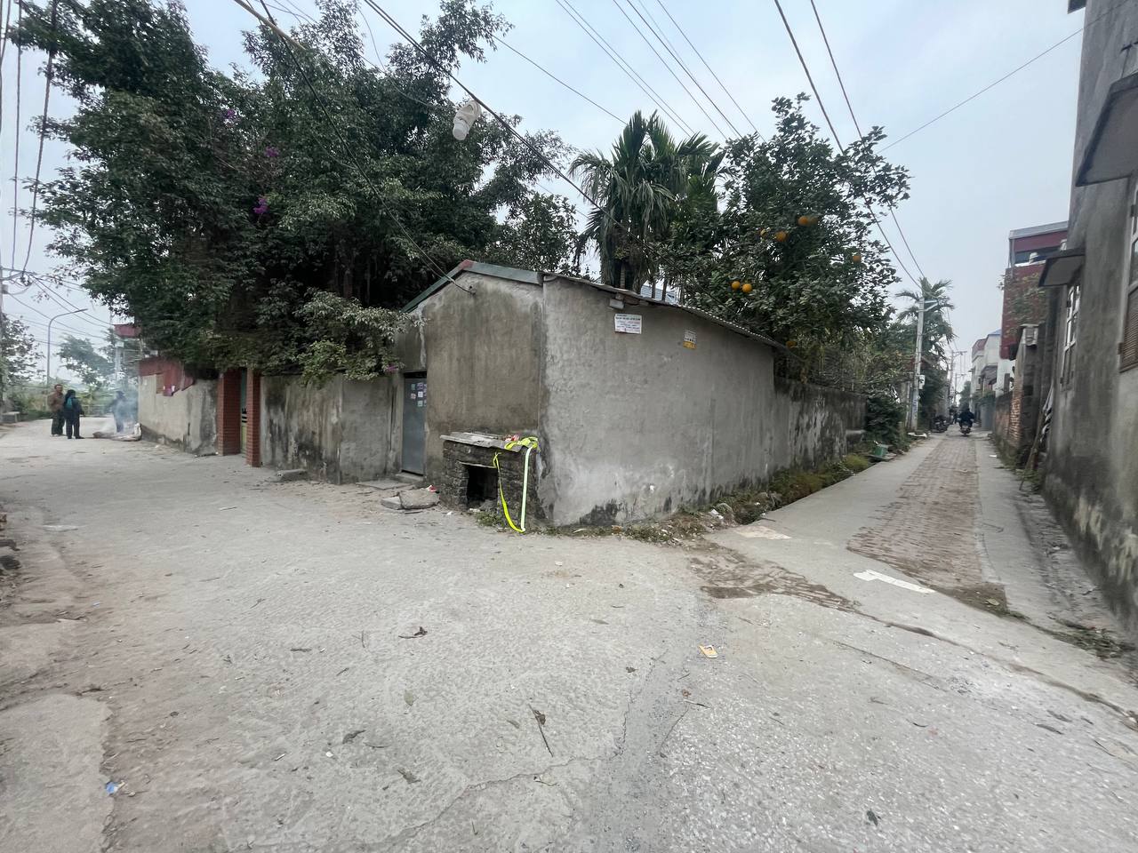 photo2025 01 1807 50 52