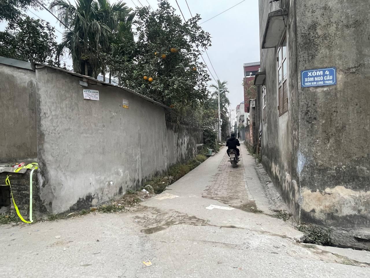 photo2025 01 1807 50 55