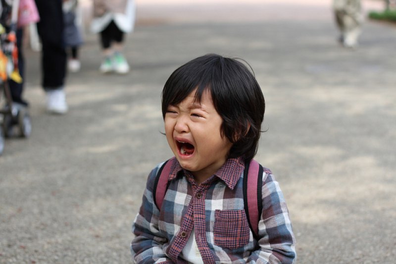 20170728 045445u3927m3060939daf 1