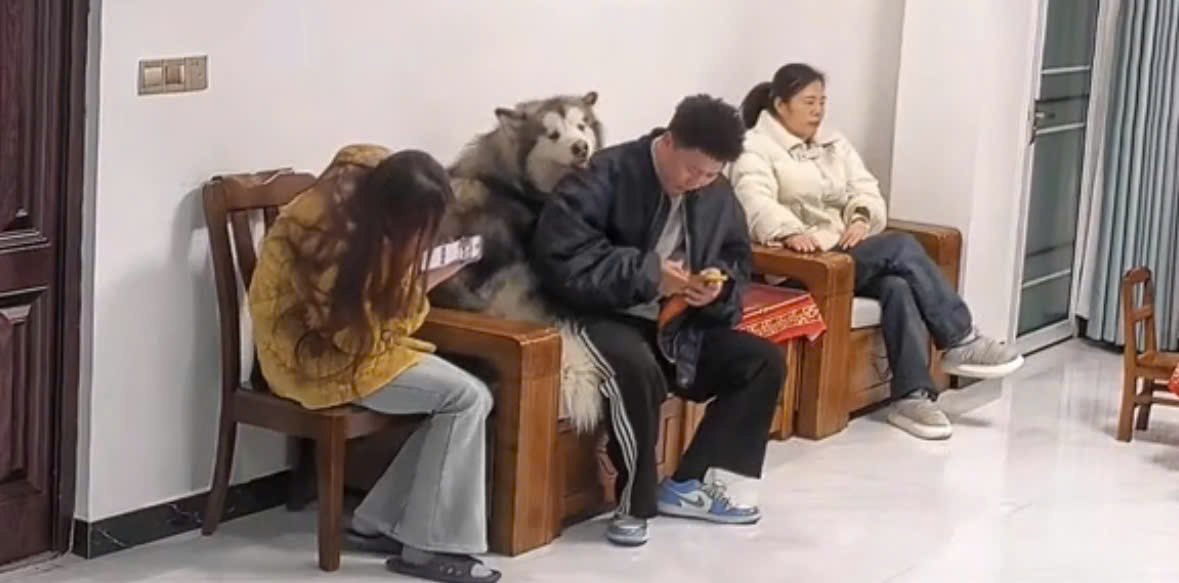 292cb88ea68f19d1409e