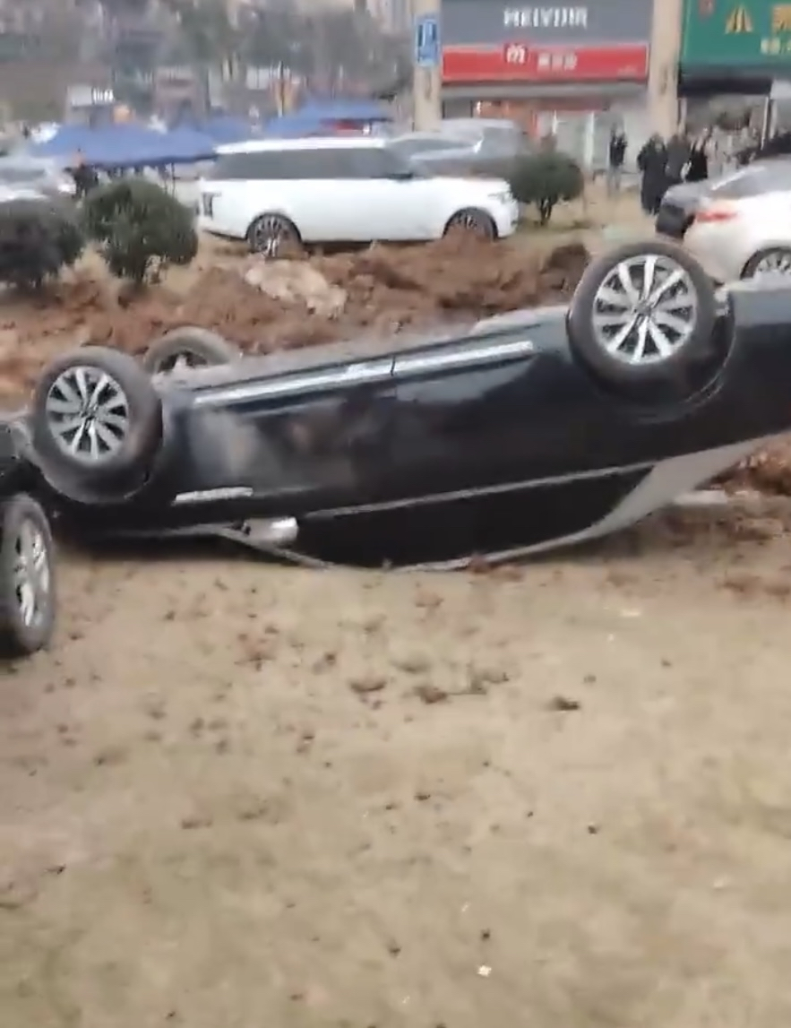 img3883 1738308769538 17383087696931202021721 1738310145135 17383101452621005005273 1738339183154 17