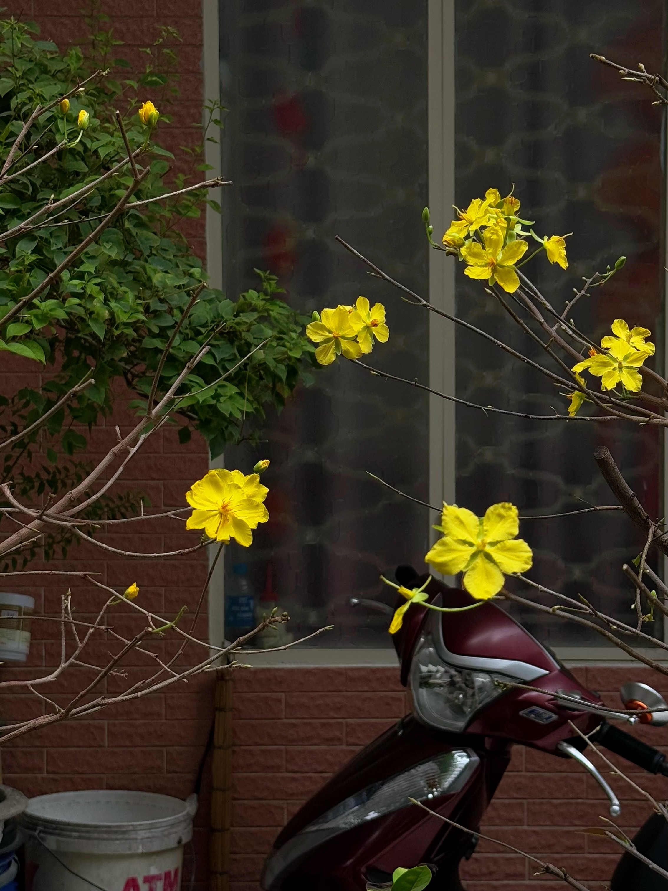 rni films img bb74d6a2 9ed3 42d6 a878 e0754d64877e