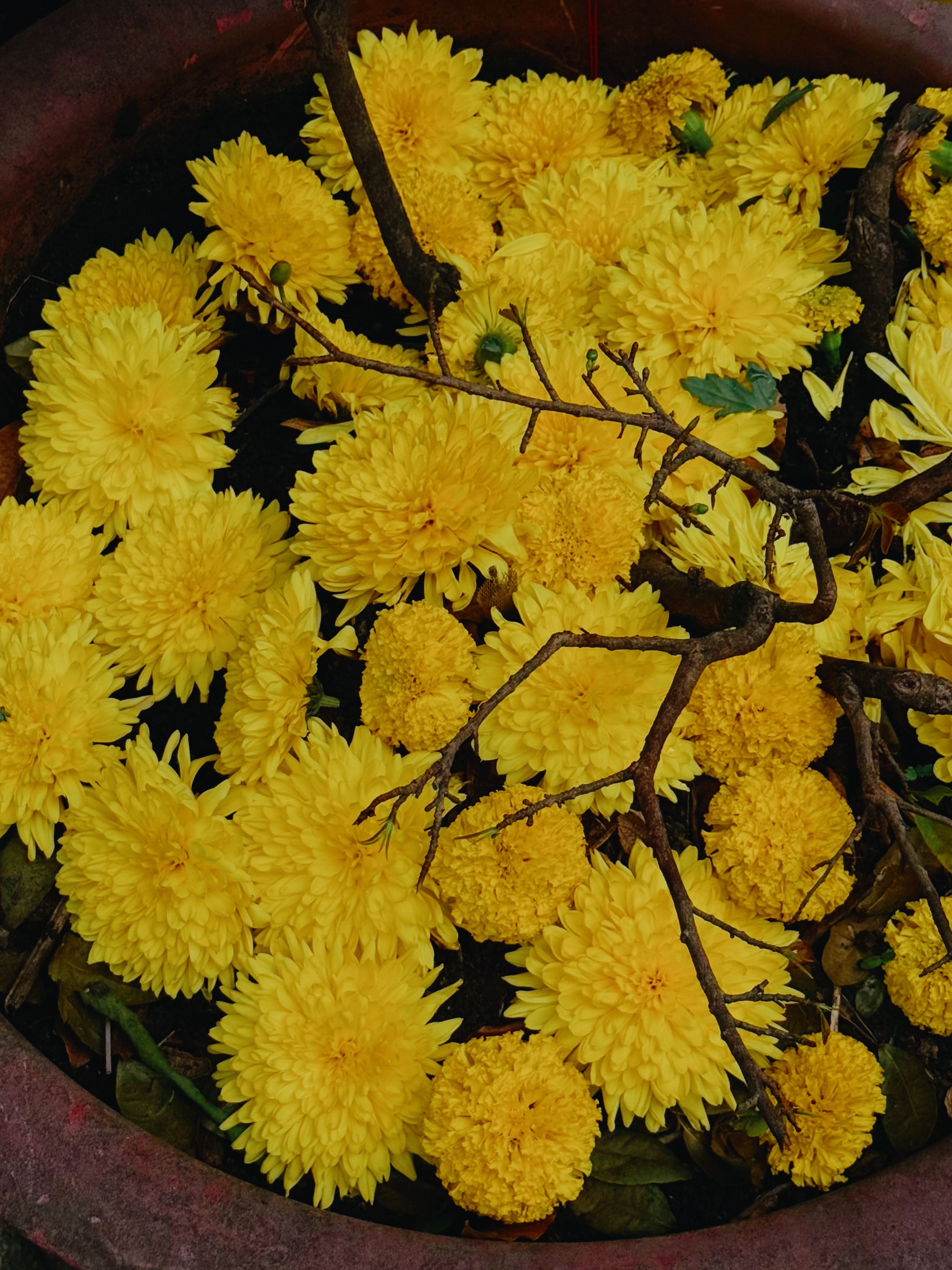 rni films img cb8e9bfb efc7 4a80 a564 c4d0589390ce