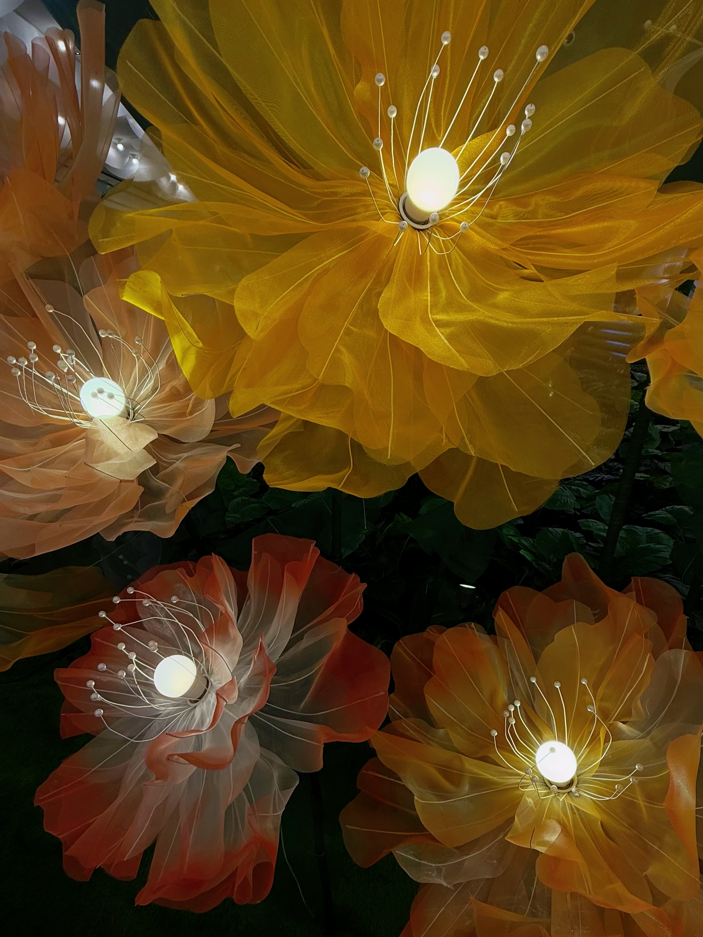 rni films img efb27ac7 b181 4310 8b6e 55ace584fa79