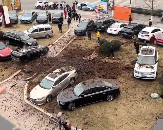 4988011 ph 1738338762380 1738338762701199092611