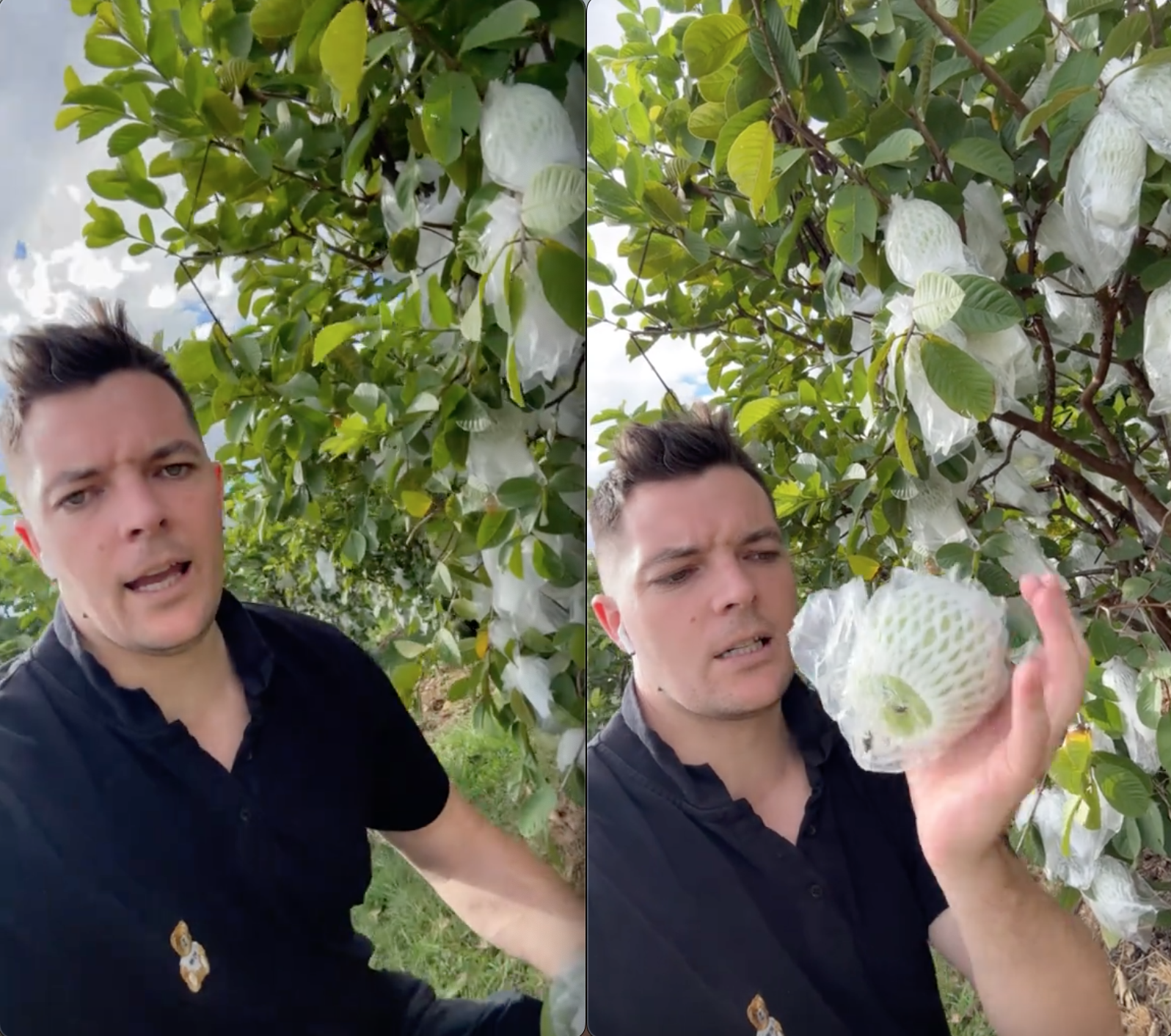 screen shot 2025 02 24 at 212227