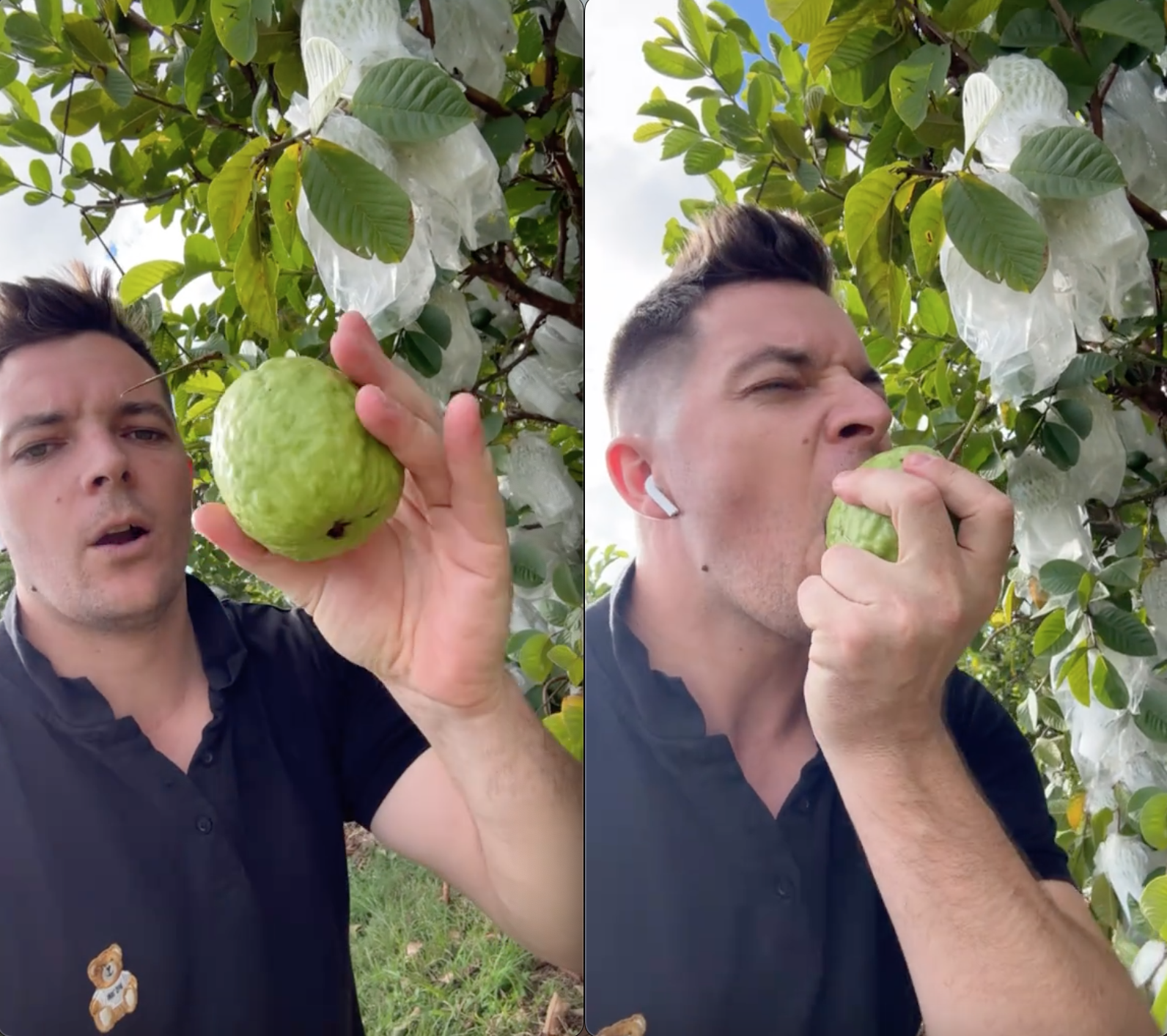 screen shot 2025 02 24 at 212240