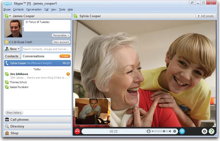 screenshot skype video call window