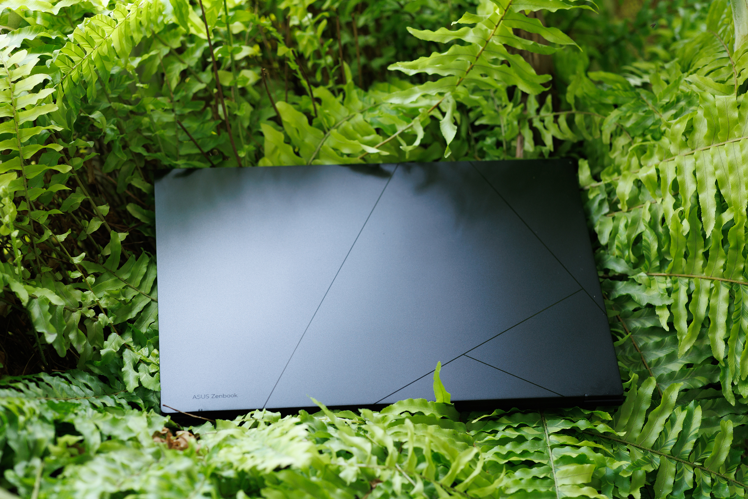 zenbook 14 um340613 copy