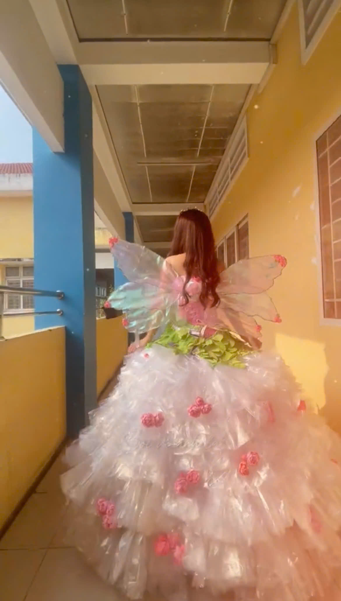 z6447560005283f75b9b2b613d00ffdf1669120477b344