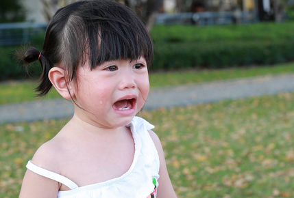 screenshot 2025 03 28 112945