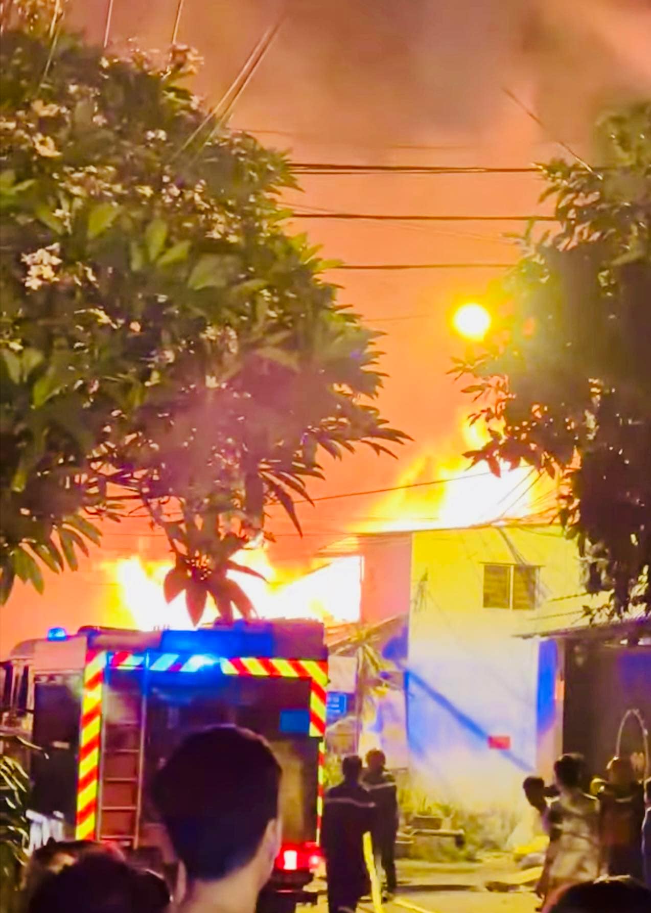 4871619477174760307022778182778594769699382n