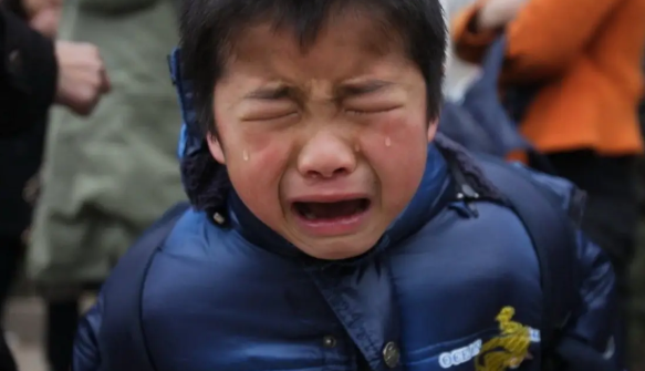 screenshot 2025 04 02 121639 screenshot 2025 04 02 121639