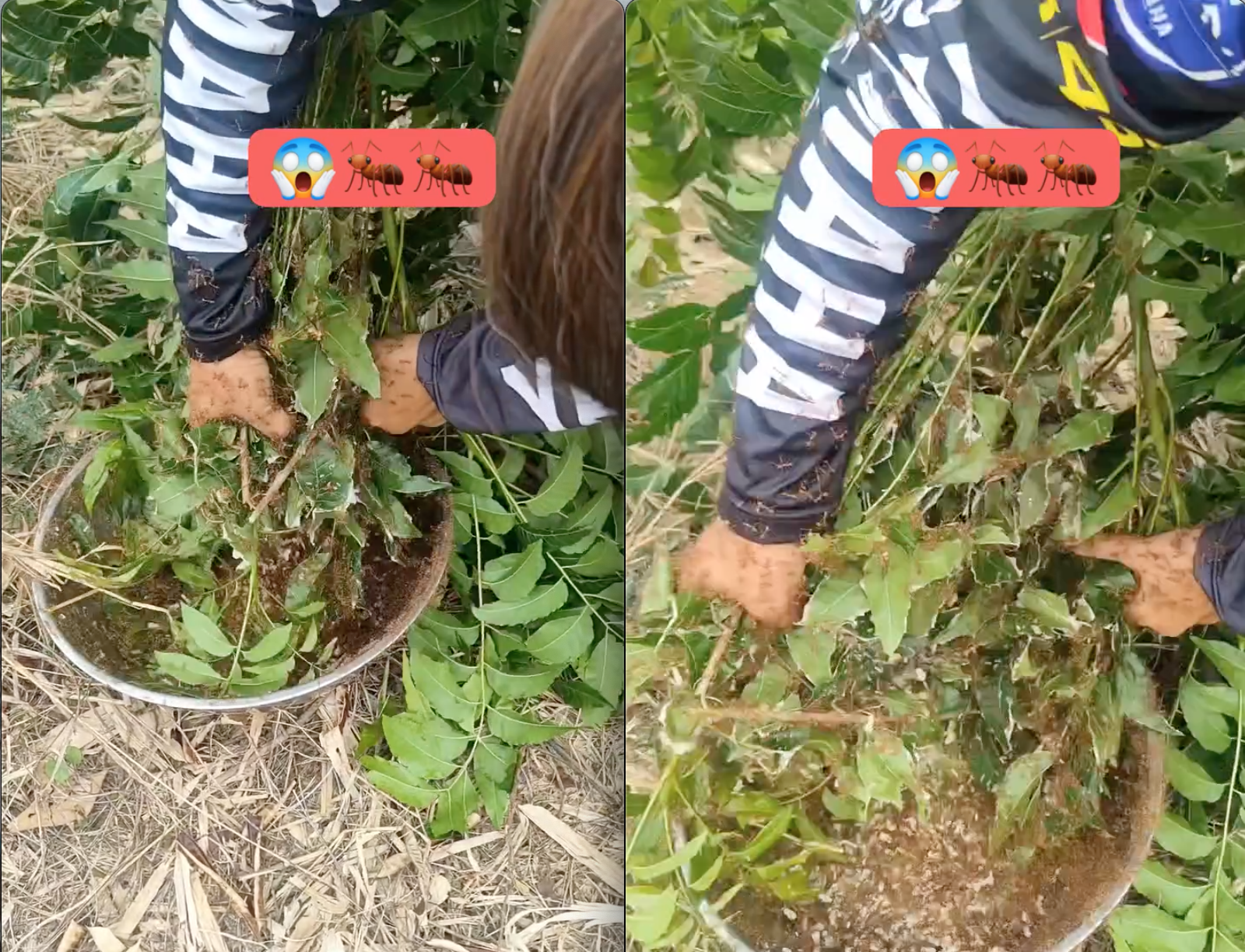 screen shot 2025 04 07 at 200058