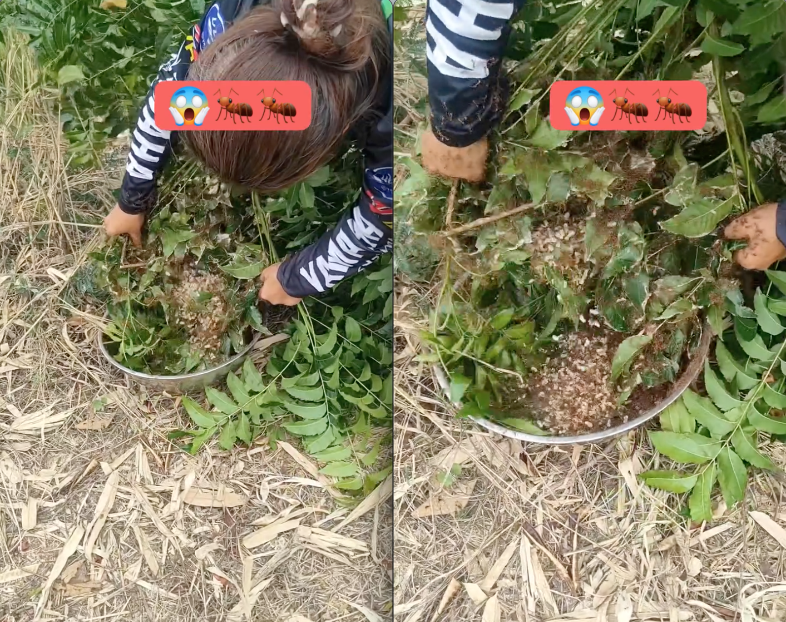 screen shot 2025 04 07 at 200112