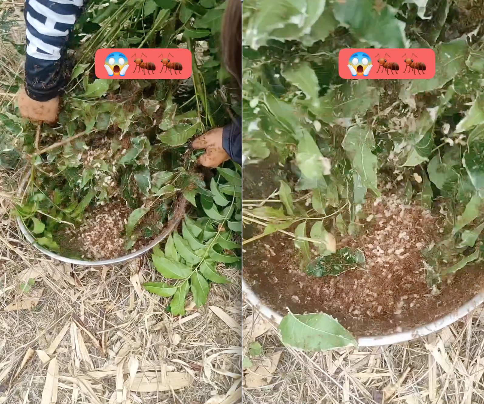 screen shot 2025 04 07 at 200127