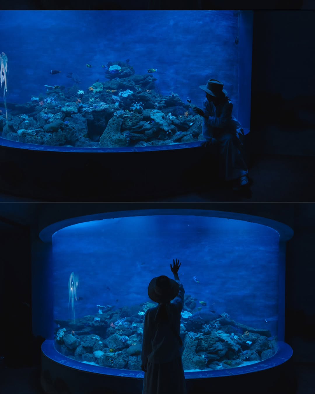 0b343ba3 2492 4388 b89f c9a0b5d2c8ca