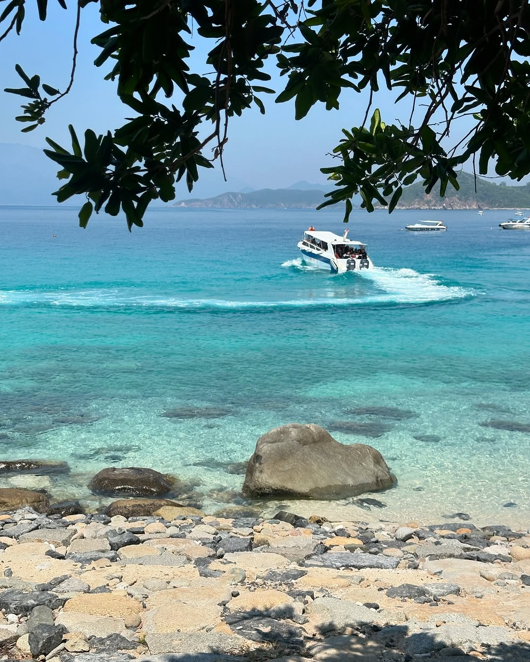 10ee2e35 d01a 4823 bd13 bd14b8c81b92