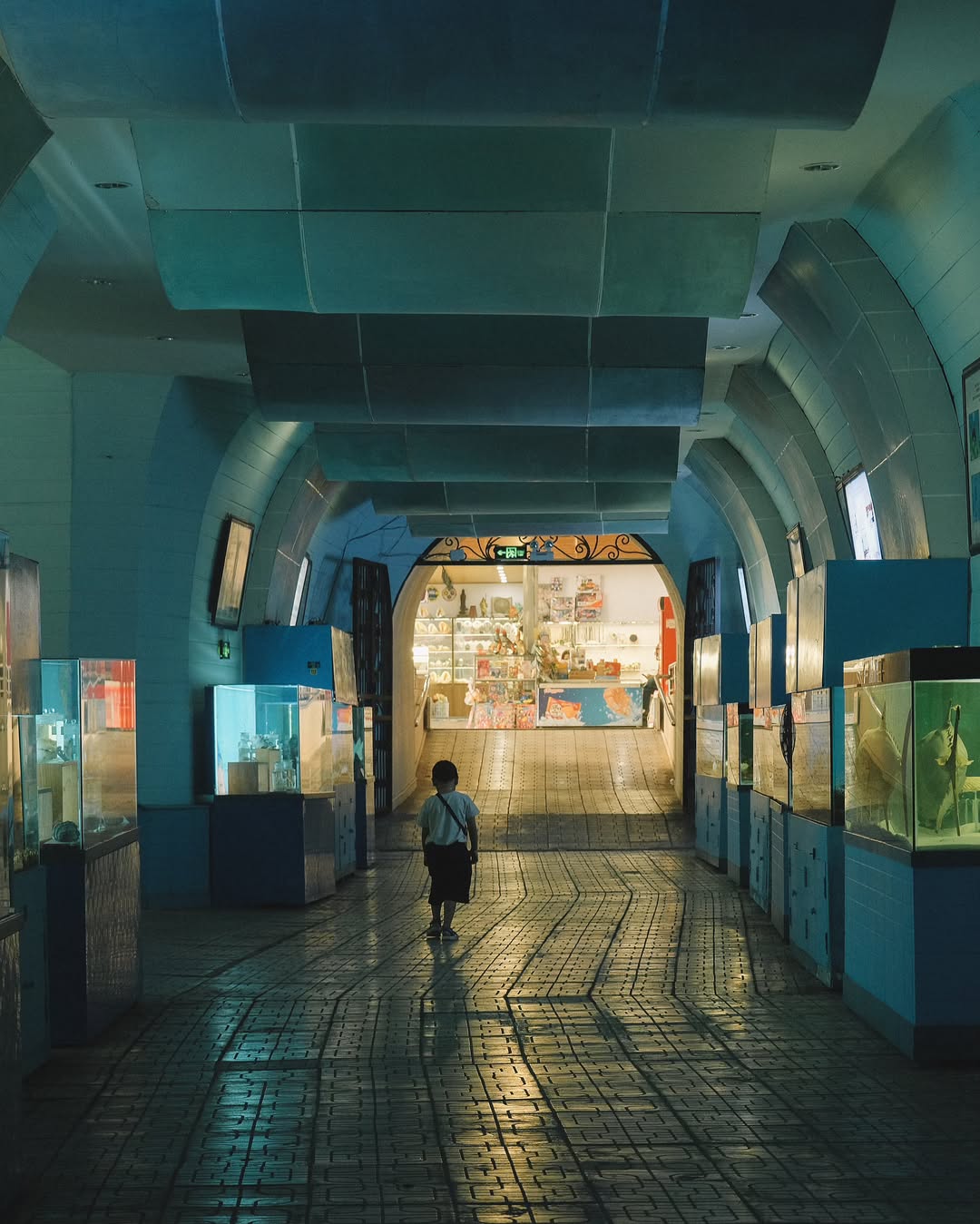 2473dc61 cea4 44ae be05 b36062ea2daf