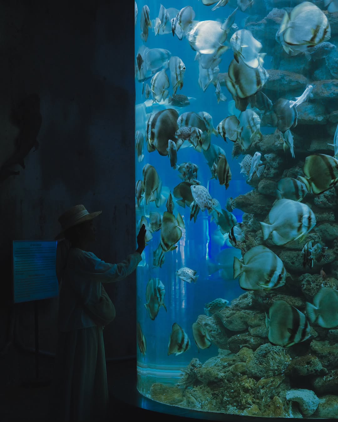 b936b9d7 1ef7 43f8 9b3c 81e62ef65c74