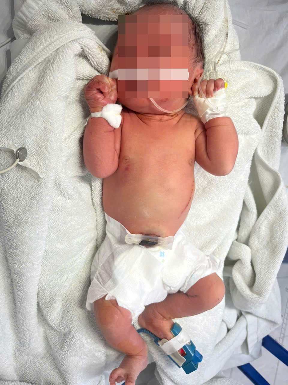 4914005717054382318220954584103710518327413n