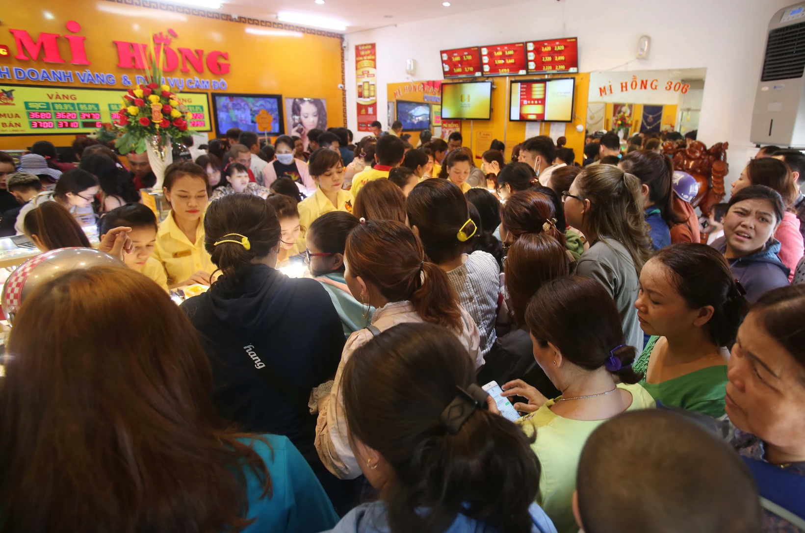 screen shot 2024 02 19 at 153505