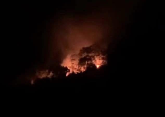 49179974110860846502205945141894987129001117n