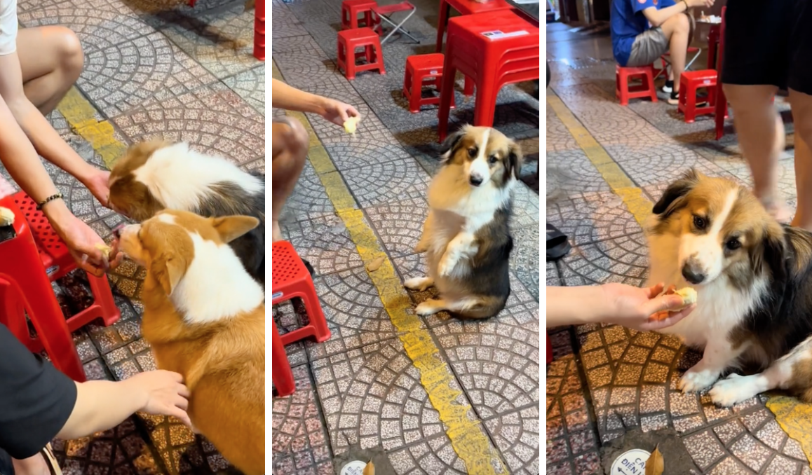 screen shot 2025 04 21 at 202256