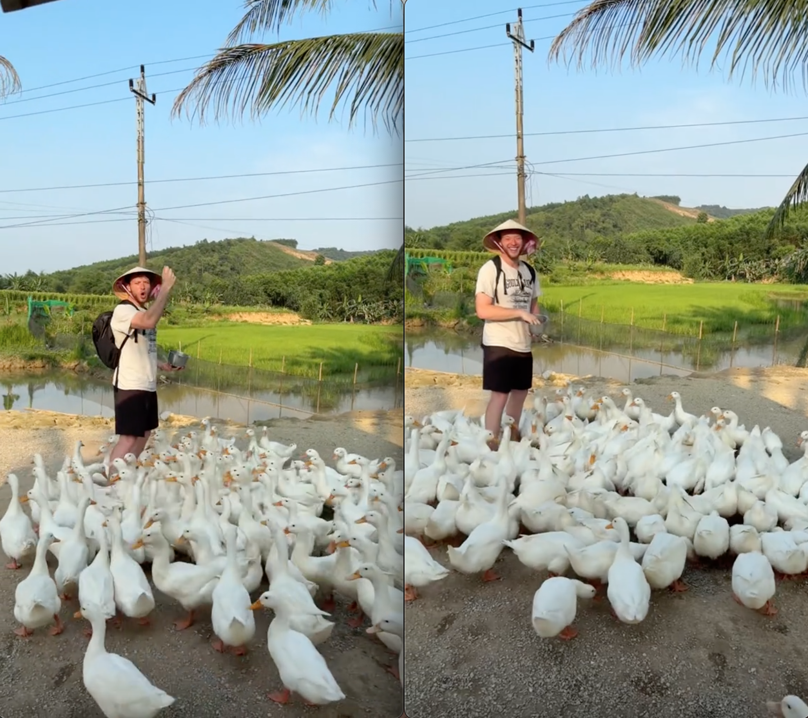 screen shot 2025 04 23 at 200516