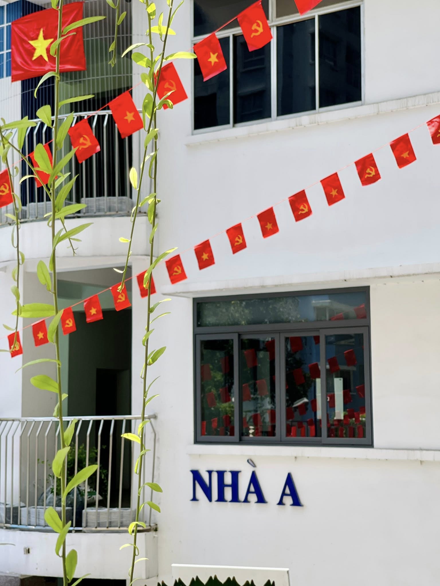 4929443616831842109318495208848101956061110n