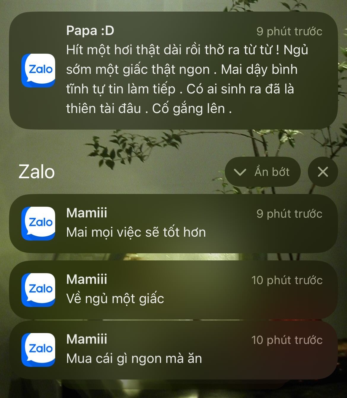 yeahiampigx 1745926717123474666023