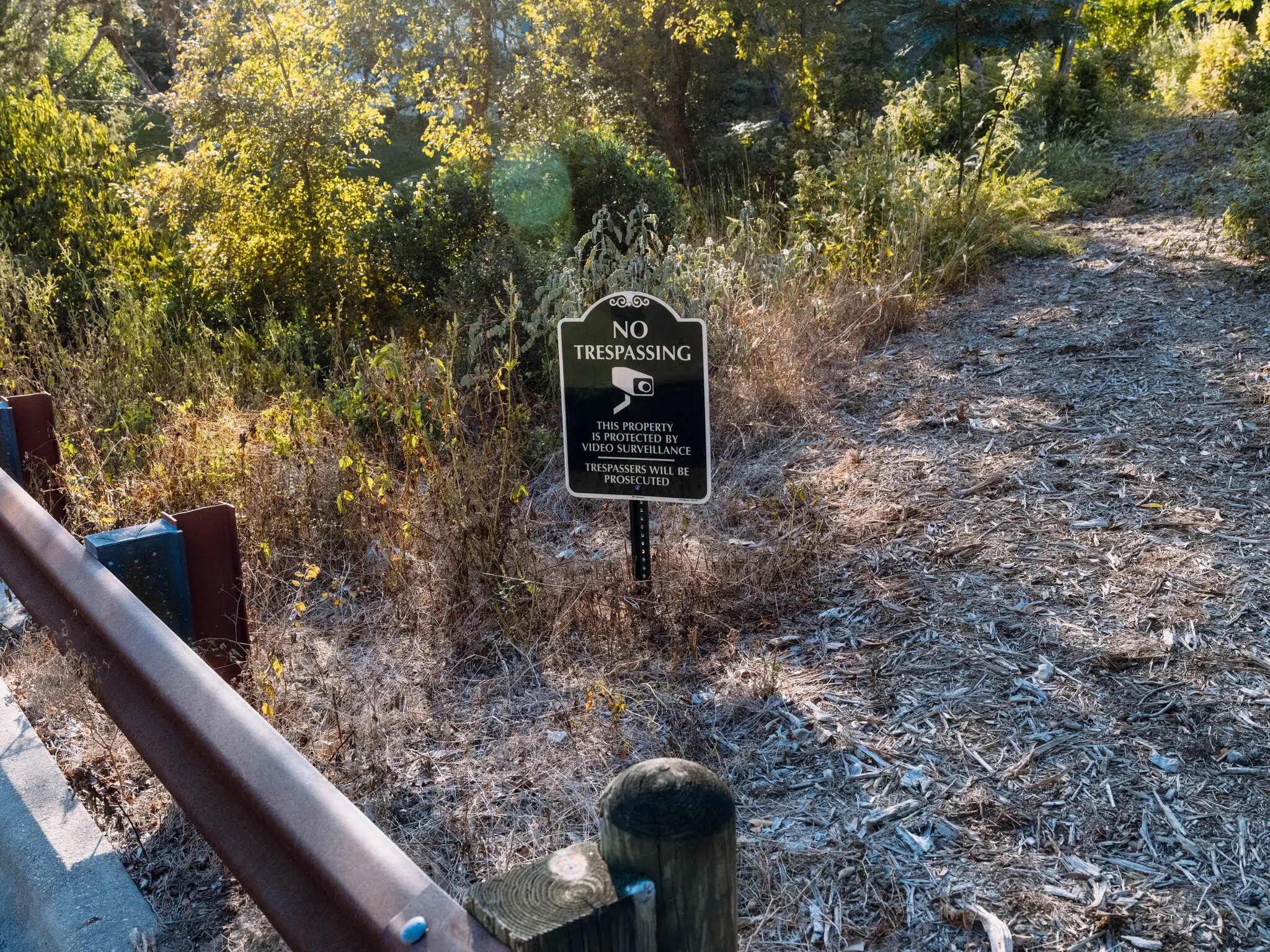 00biz musk neighbors 03 gktb superjumbo