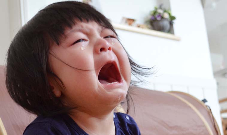 8696b5ad b767 448d 883c 693d4b749c39