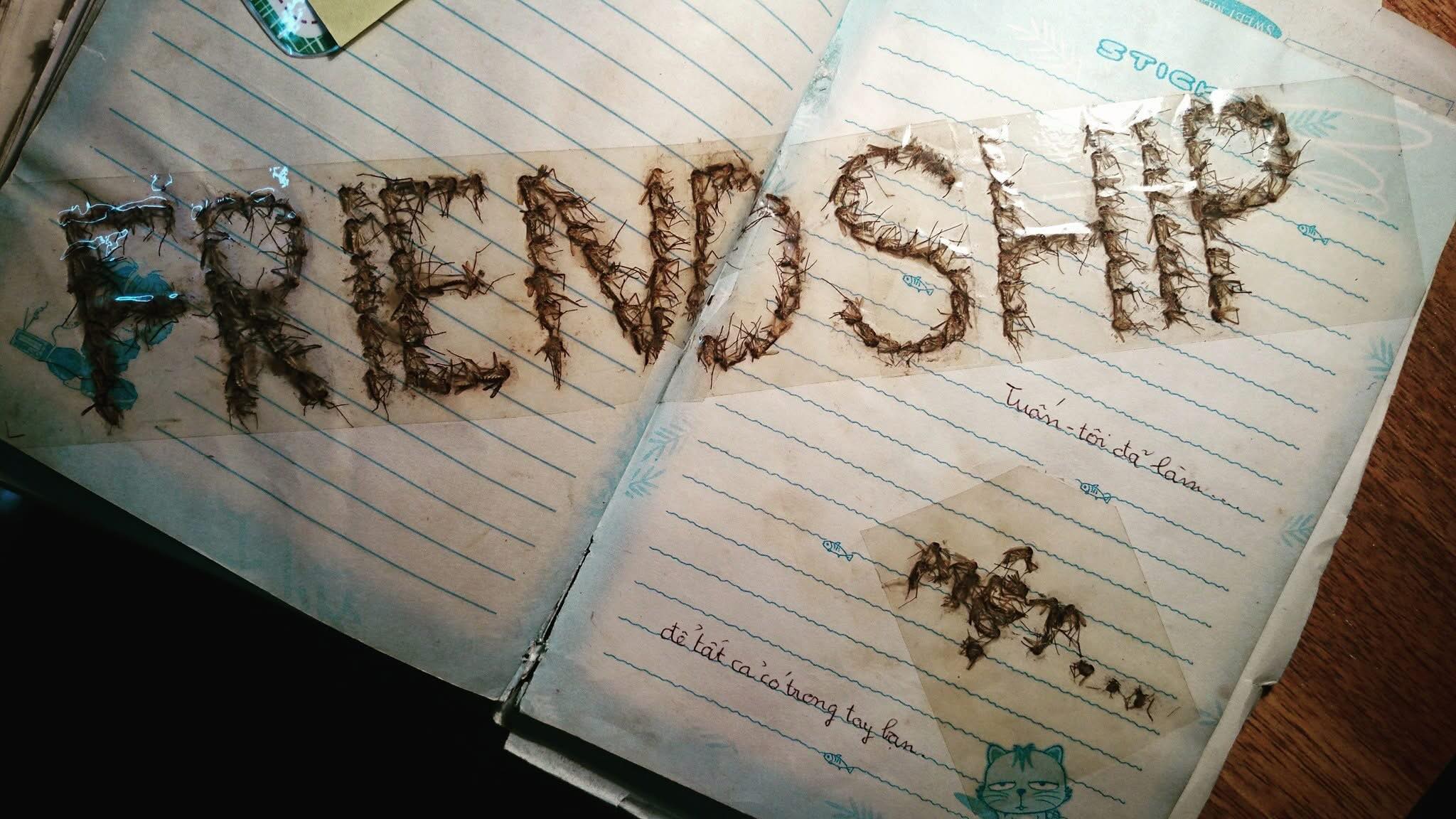 496790693178846402592742668162645472711999720n